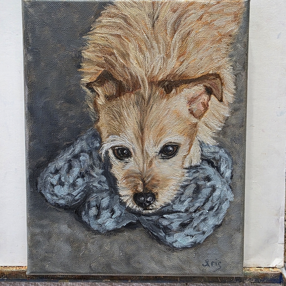 Abstract oil Painting cute Dog